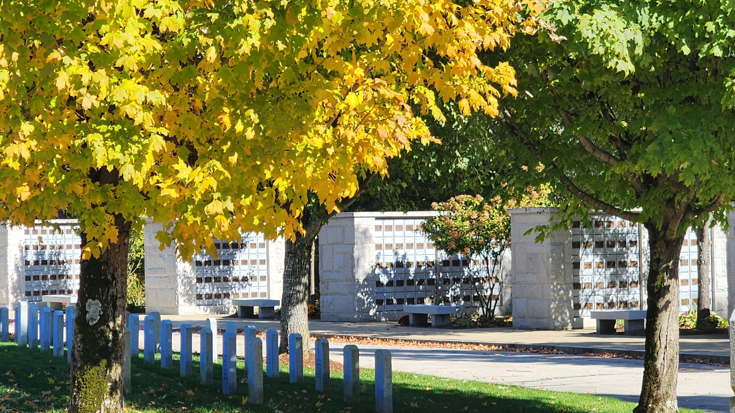 Early Fall at the NHSVC